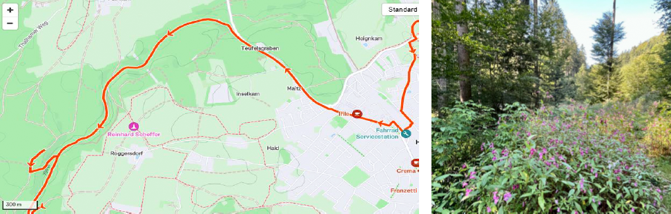 Heart Strava Initiative, a heart health challenge